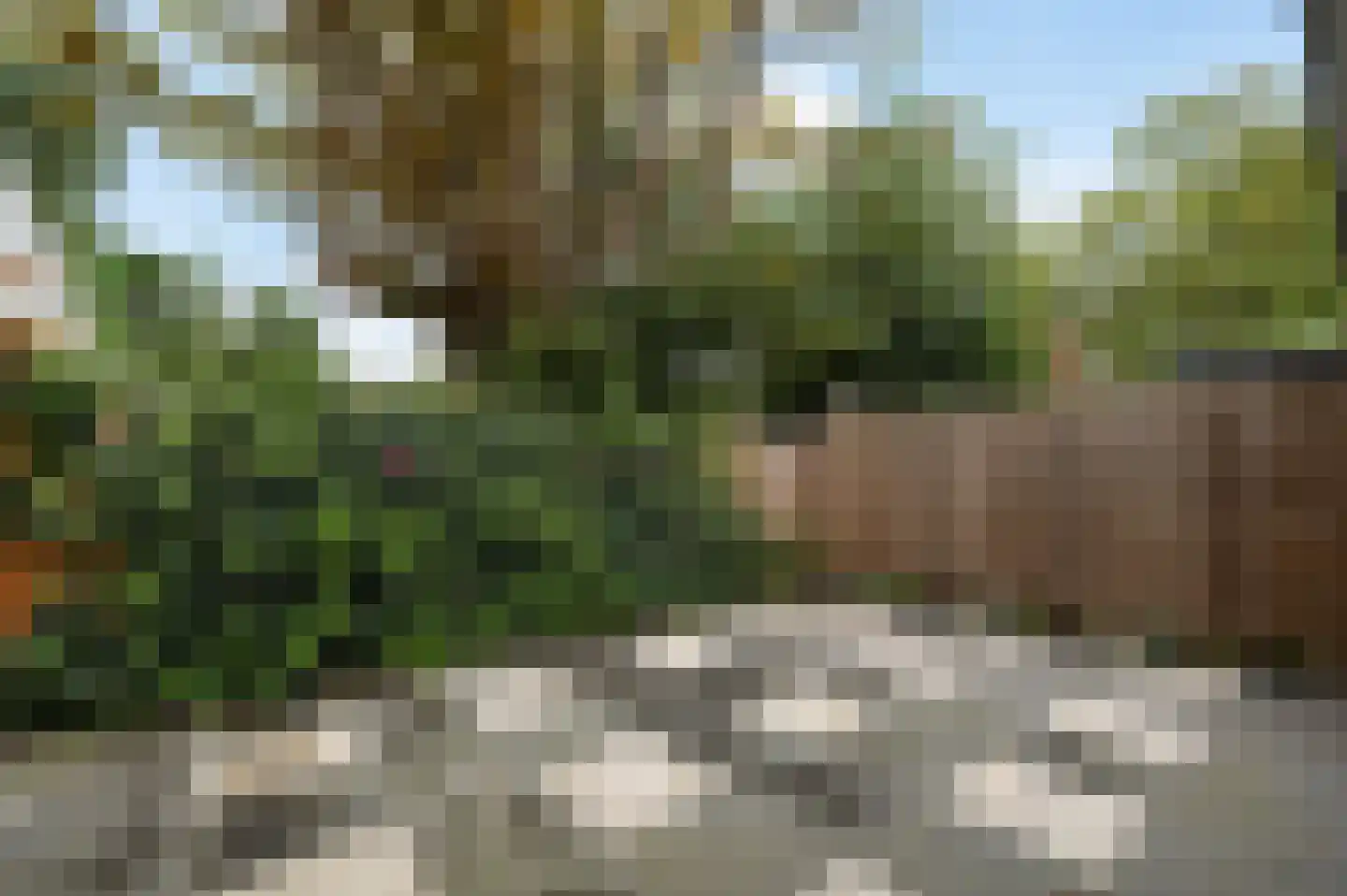 Tulpentuin 347 Voorburg thumbnail 15