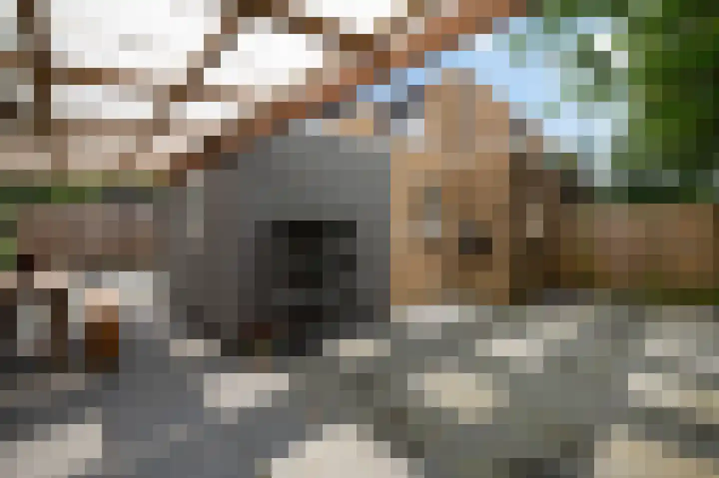 Tulpentuin 347 Voorburg thumbnail 16