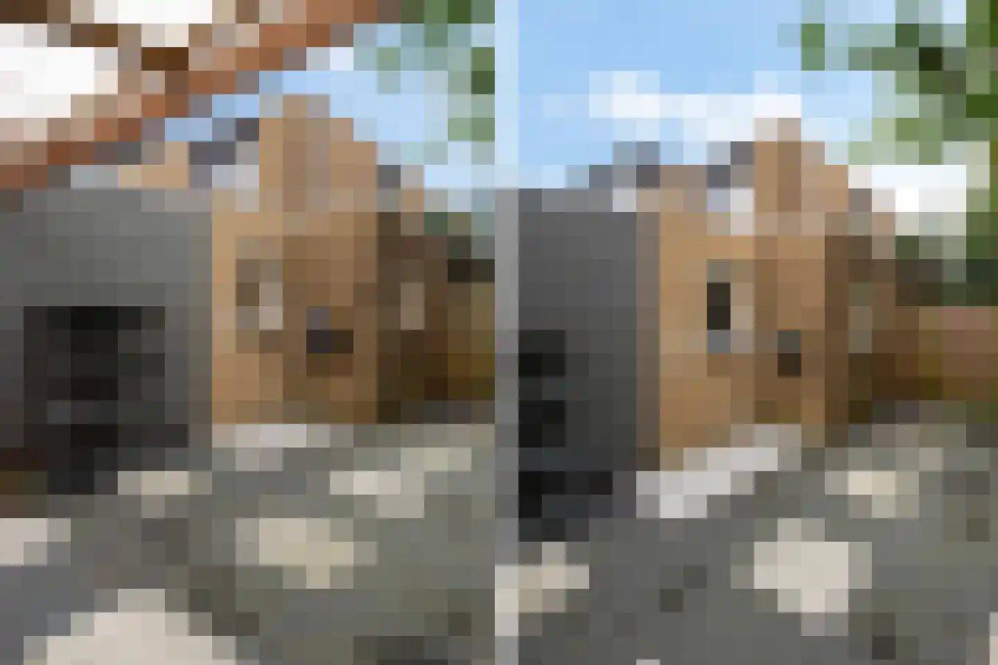 Tulpentuin 347 Voorburg thumbnail 17