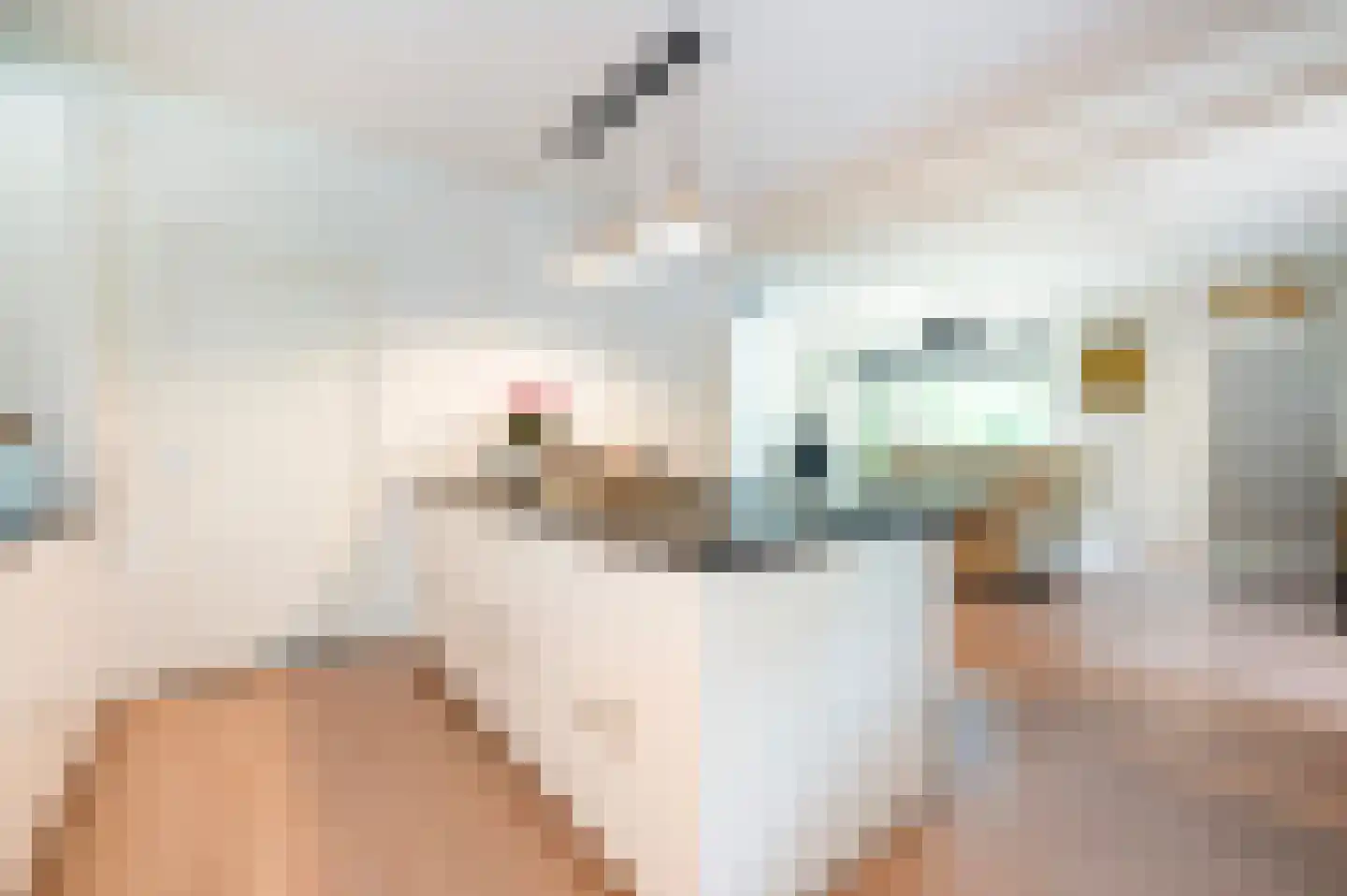 Tulpentuin 347 Voorburg thumbnail 18