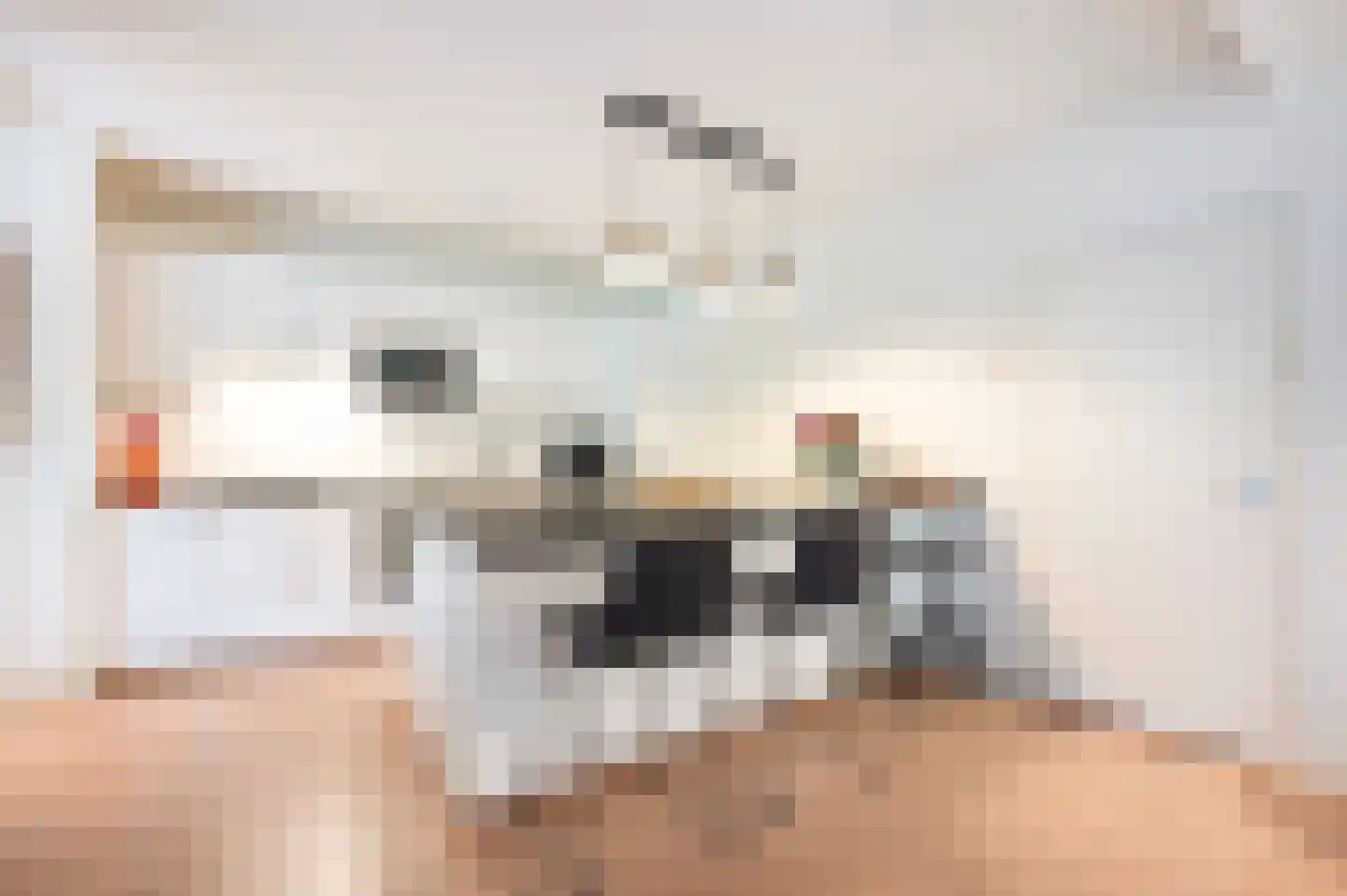 Tulpentuin 347 Voorburg thumbnail 19