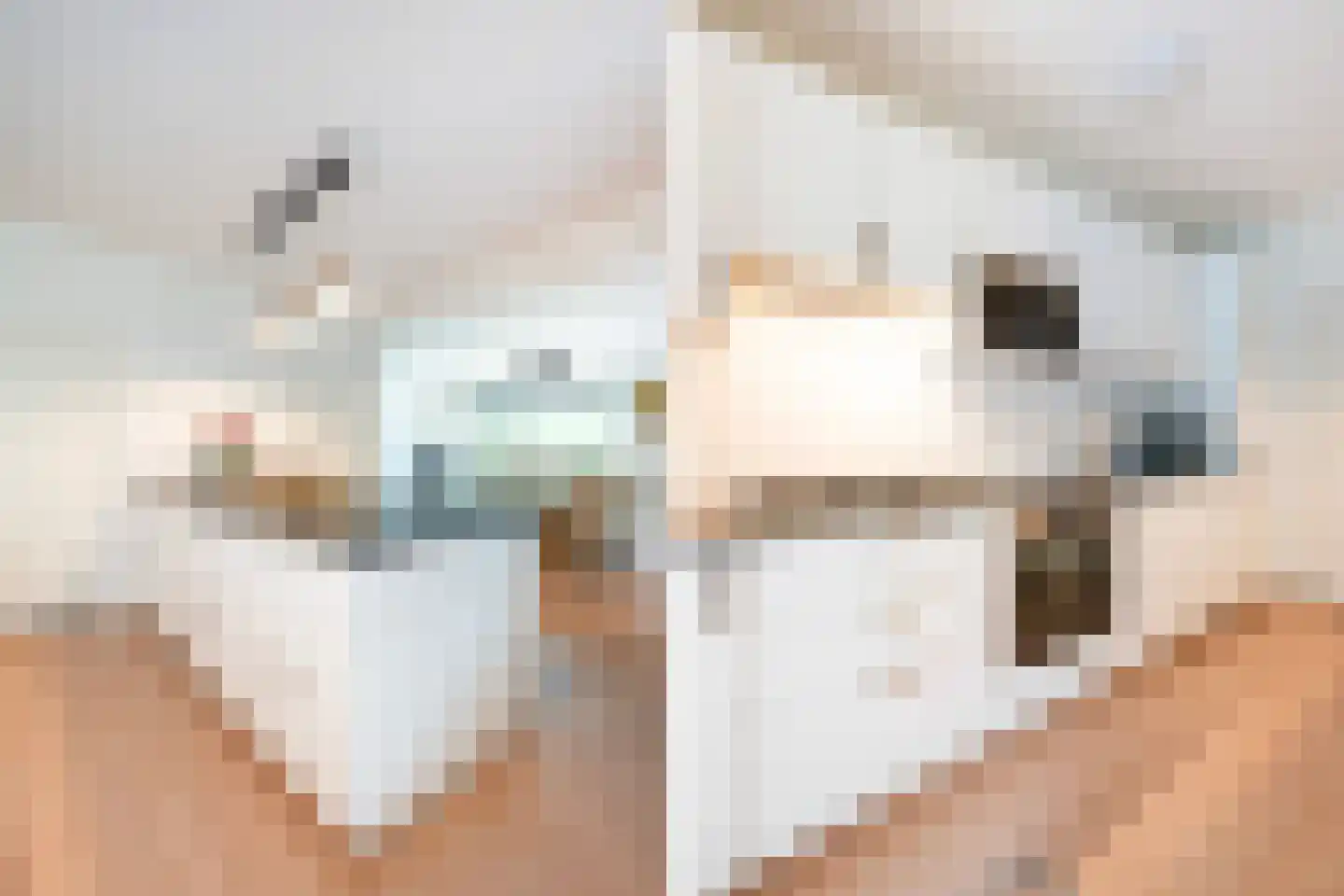 Tulpentuin 347 Voorburg thumbnail 21