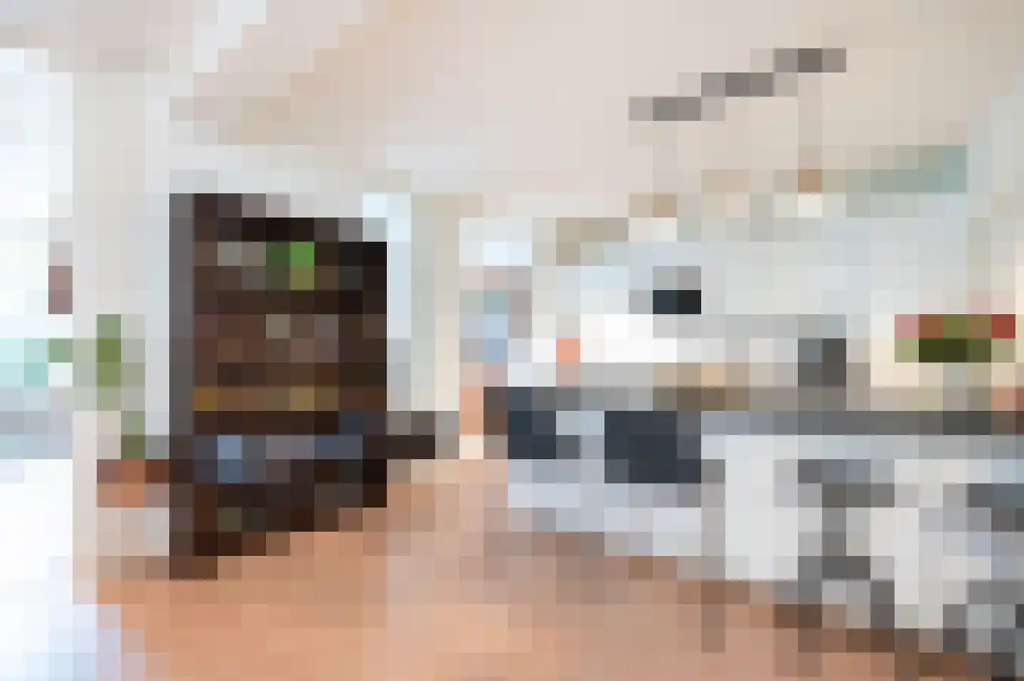 Tulpentuin 347 Voorburg thumbnail 22