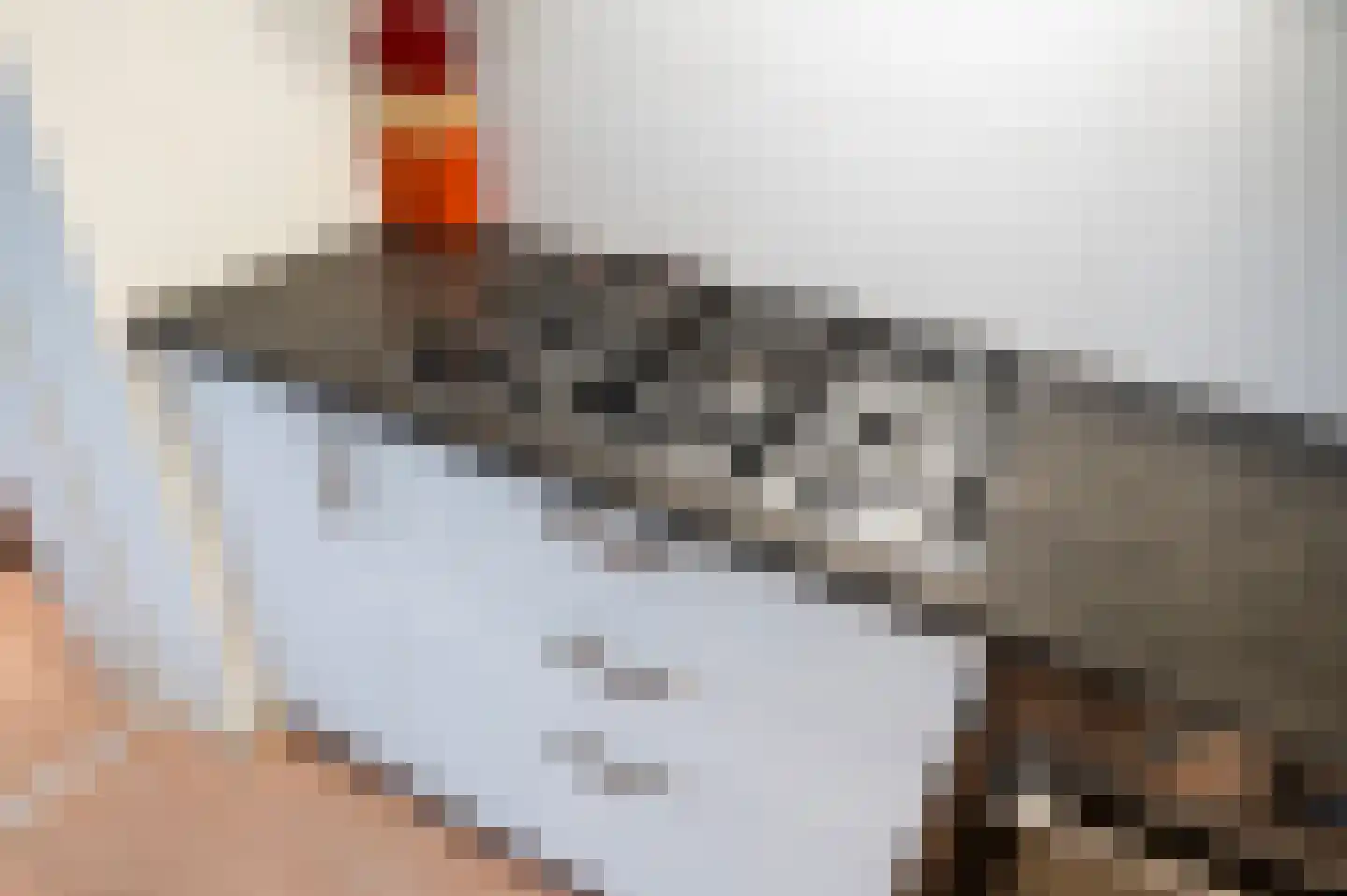 Tulpentuin 347 Voorburg thumbnail 23