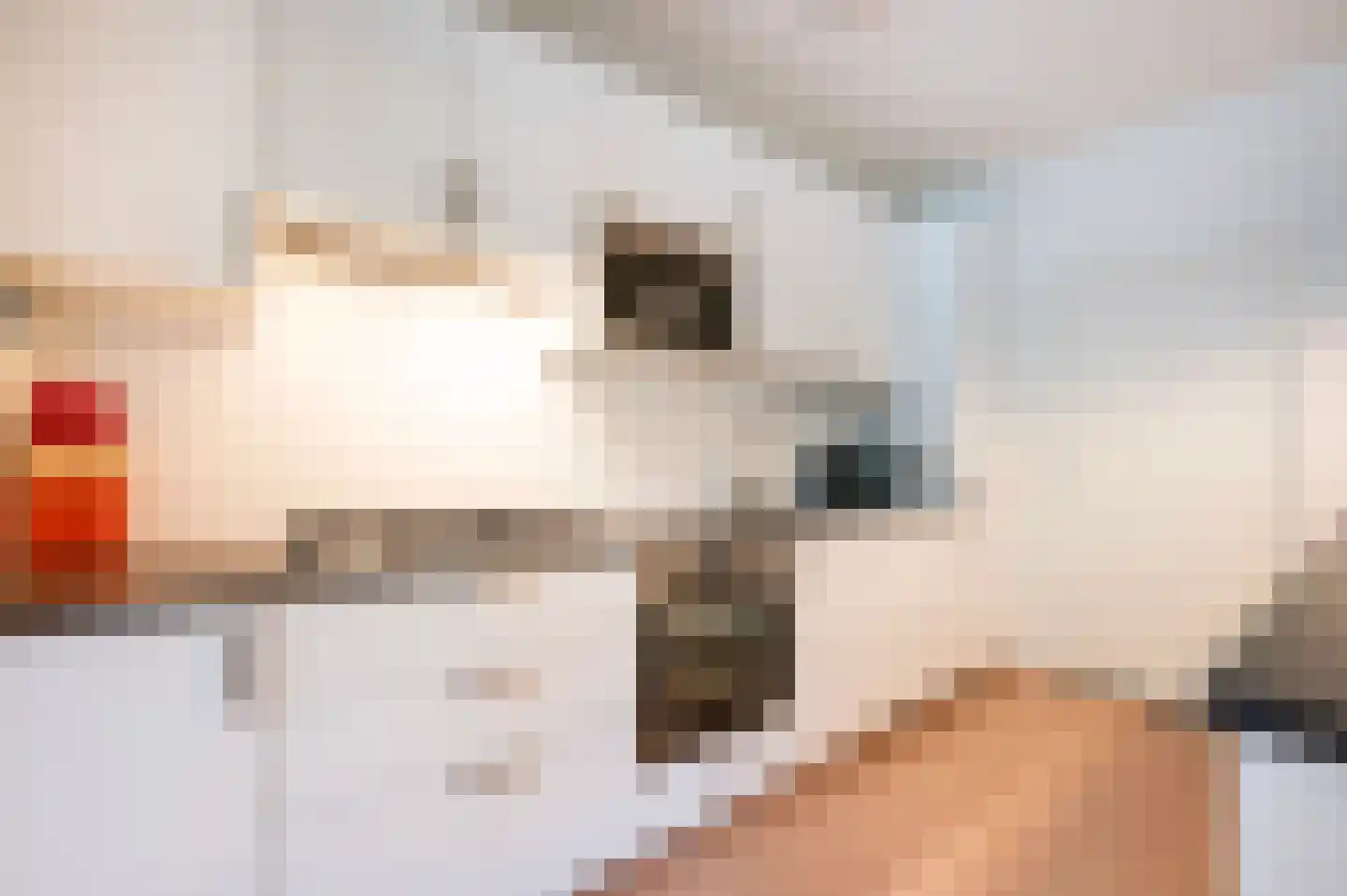 Tulpentuin 347 Voorburg thumbnail 24
