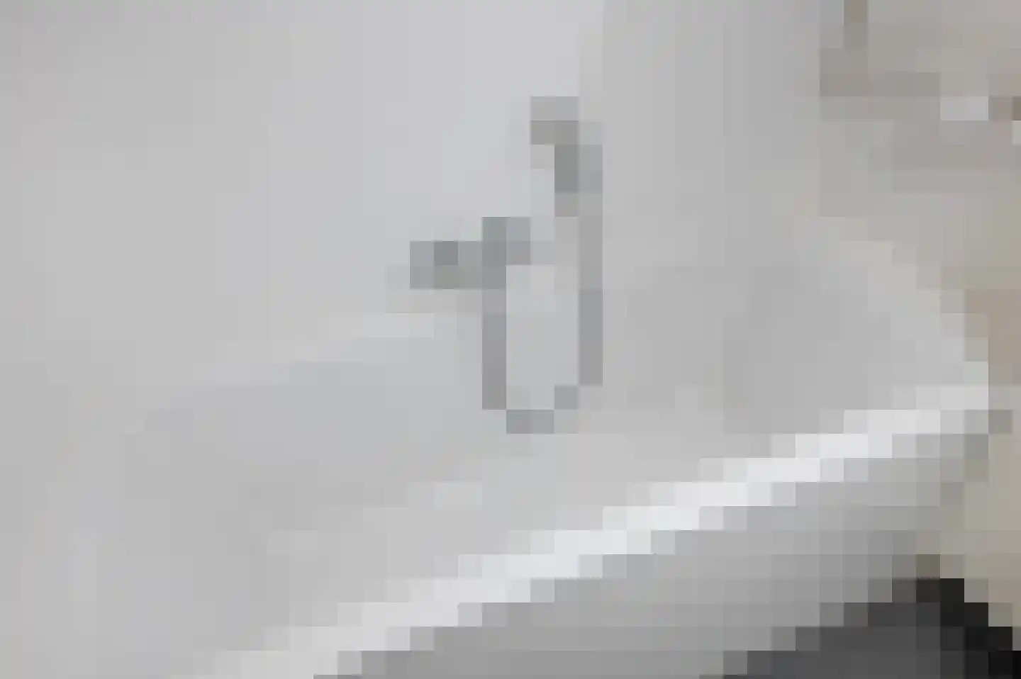 Tulpentuin 347 Voorburg thumbnail 38