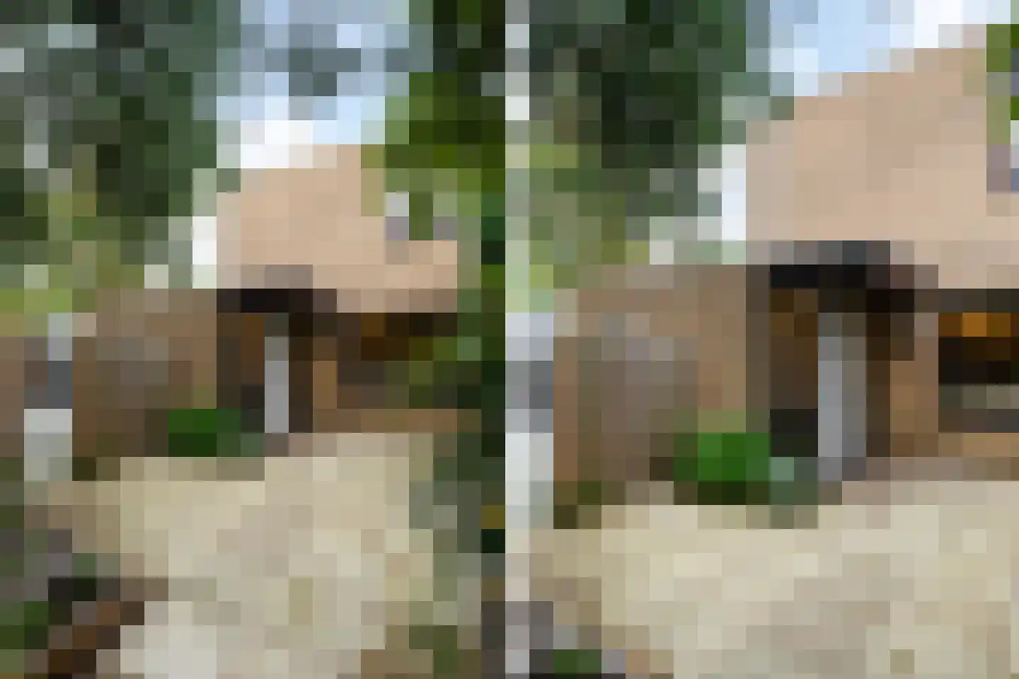 Tulpentuin 347 Voorburg thumbnail 4