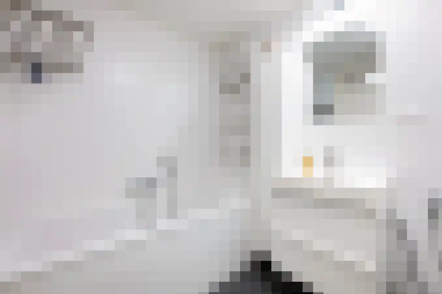 Tulpentuin 347 Voorburg thumbnail 41