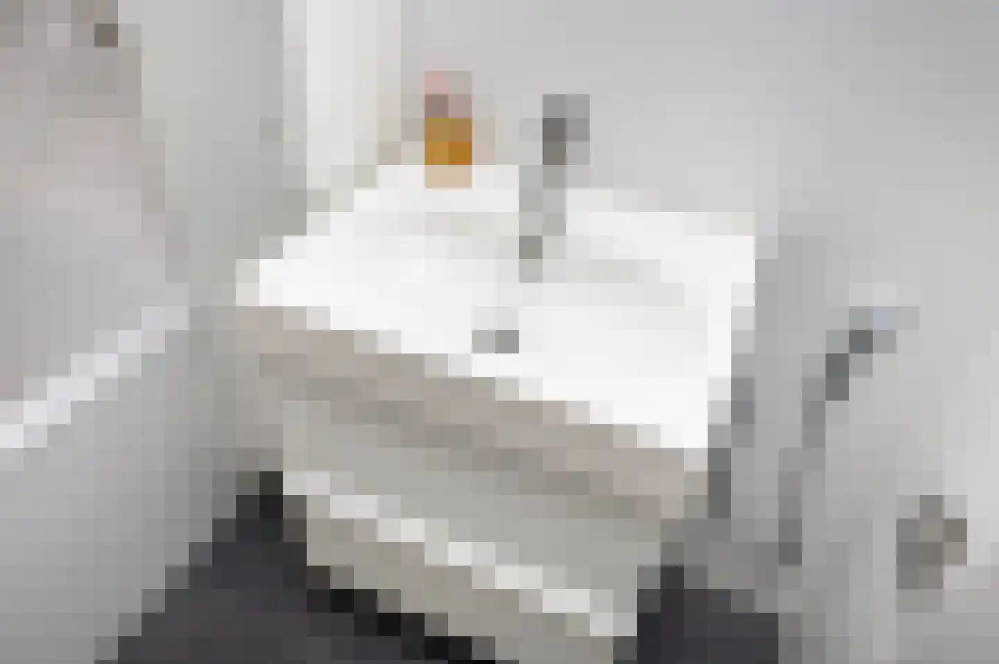 Tulpentuin 347 Voorburg thumbnail 42