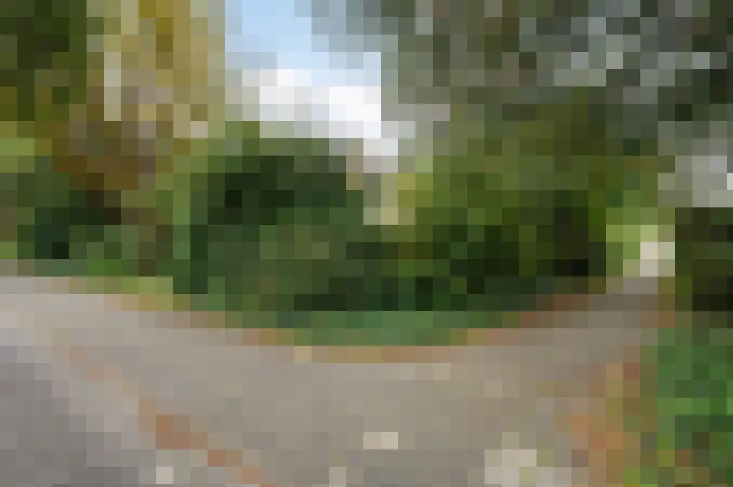 Tulpentuin 347 Voorburg thumbnail 44
