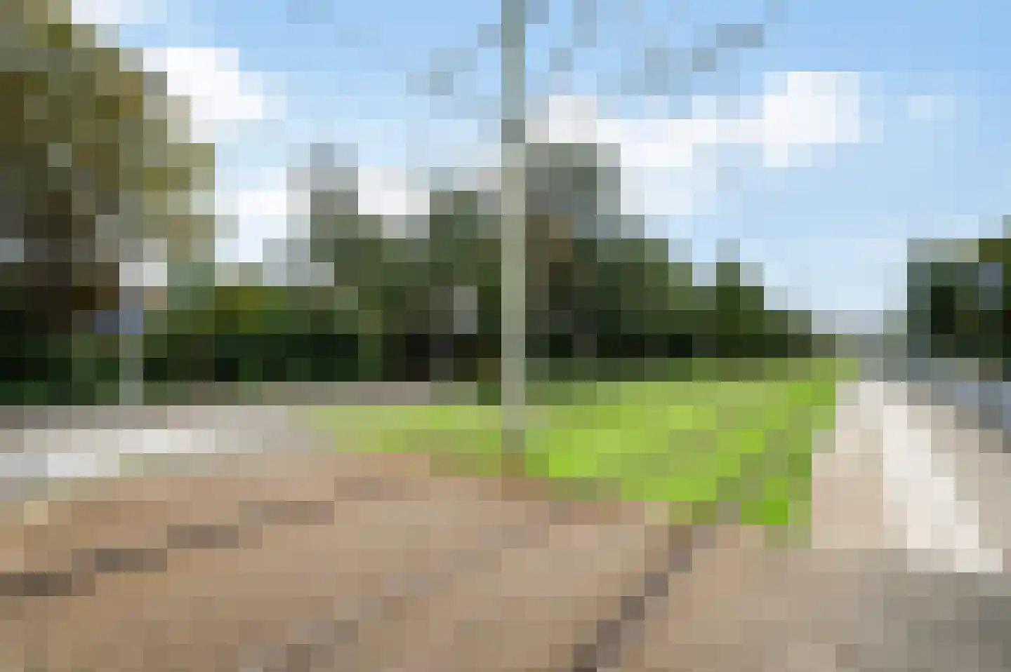 Tulpentuin 347 Voorburg thumbnail 45