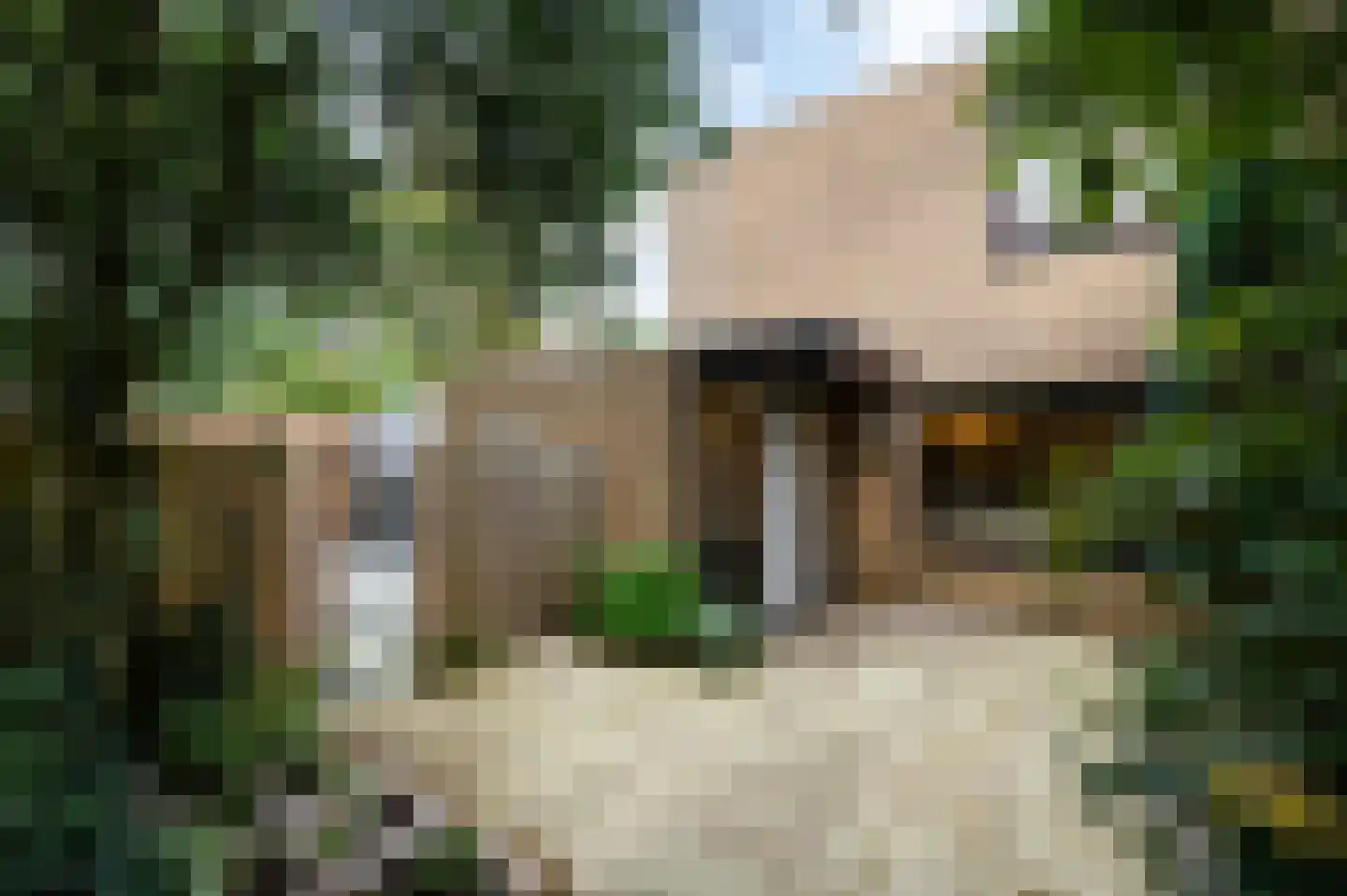 Tulpentuin 347 Voorburg thumbnail 5