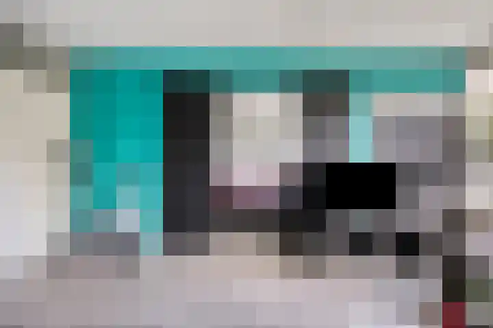 Tulpentuin 51 Voorburg thumbnail 15