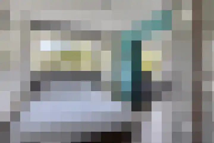 Tulpentuin 51 Voorburg thumbnail 18