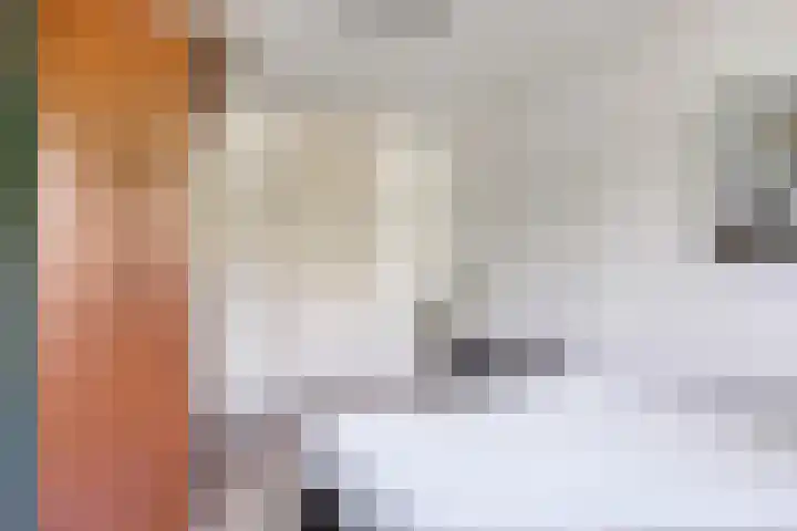 Tulpentuin 51 Voorburg thumbnail 19