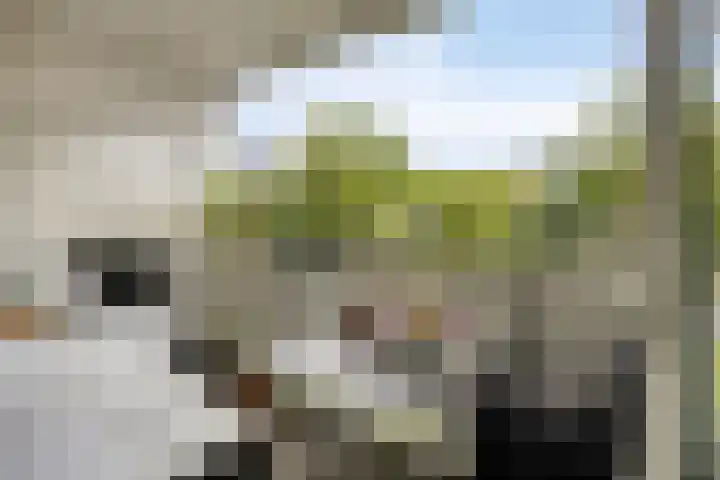 Tulpentuin 51 Voorburg thumbnail 22