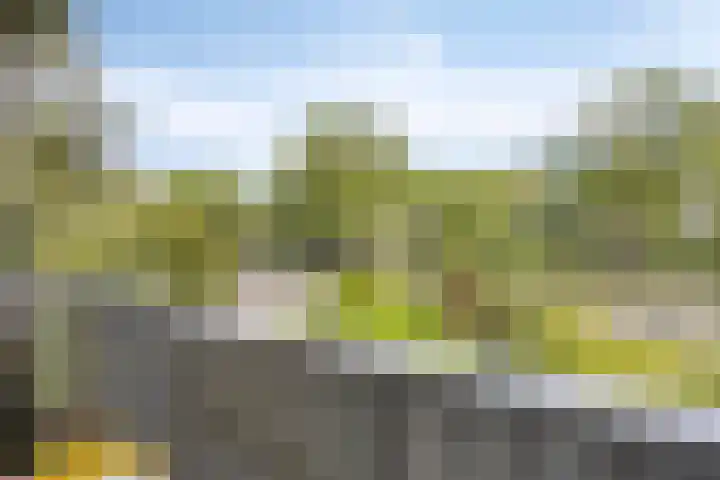 Tulpentuin 51 Voorburg thumbnail 24