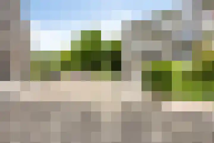 Tulpentuin 51 Voorburg thumbnail 7