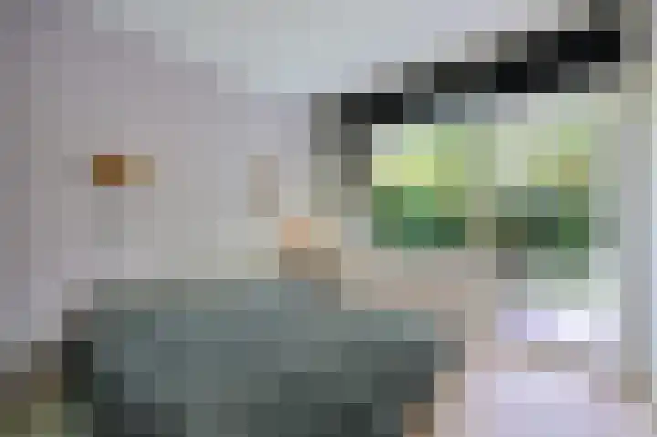 Tulpentuin 67 Voorburg thumbnail 15