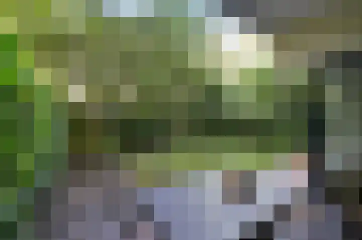 Tulpentuin 67 Voorburg thumbnail 19