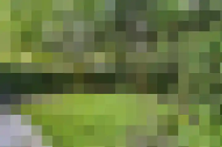 Tulpentuin 67 Voorburg thumbnail 20