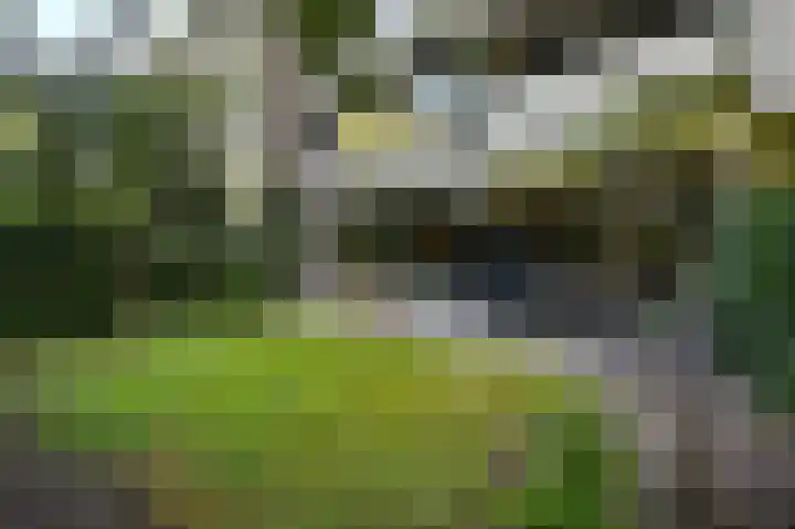 Tulpentuin 67 Voorburg thumbnail 21
