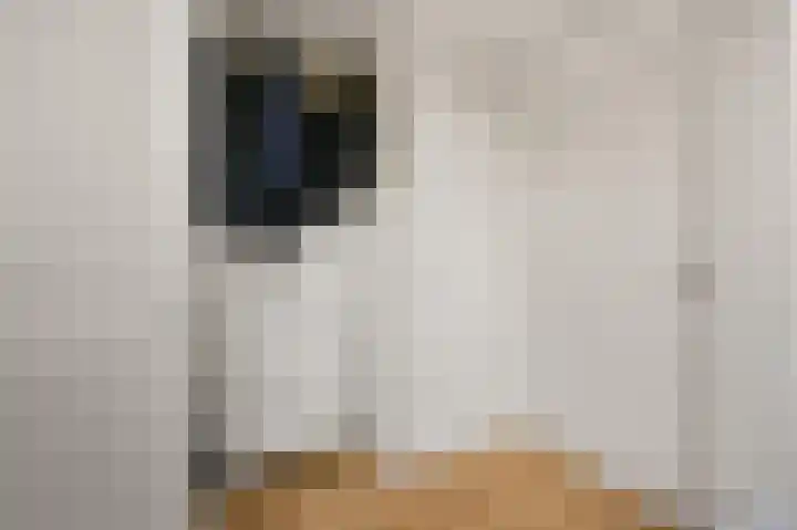 Tulpentuin 72 Voorburg thumbnail 13