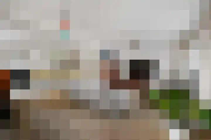 Tulpentuin 72 Voorburg thumbnail 16