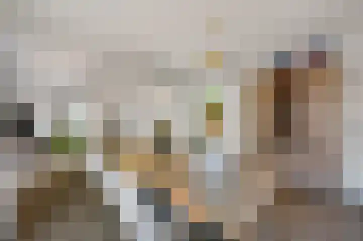 Tulpentuin 72 Voorburg thumbnail 21