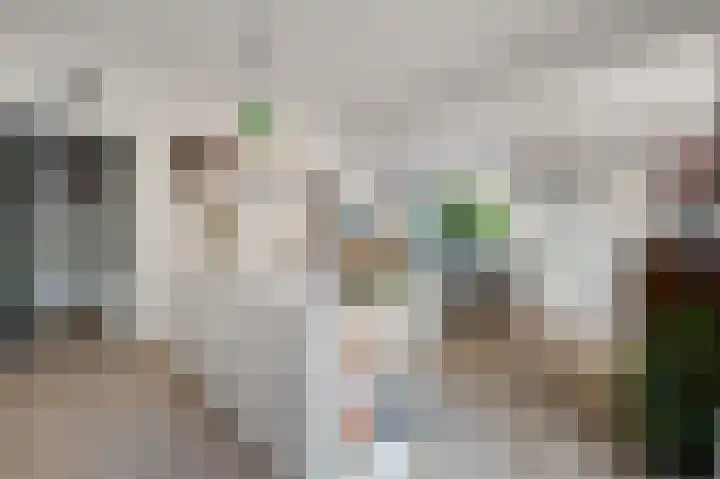 Tulpentuin 72 Voorburg thumbnail 25