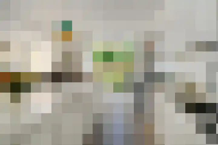 Tulpentuin 72 Voorburg thumbnail 29