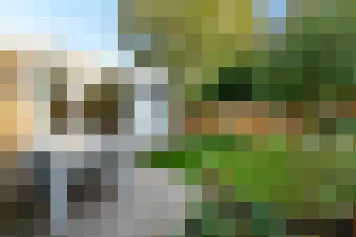 Tulpentuin 72 Voorburg thumbnail 31