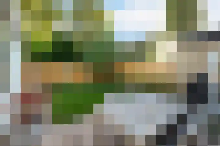 Tulpentuin 72 Voorburg thumbnail 32