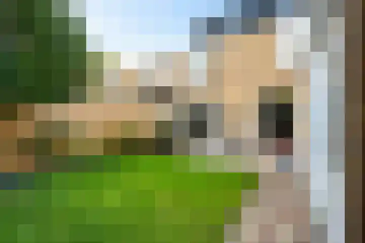 Tulpentuin 72 Voorburg thumbnail 33