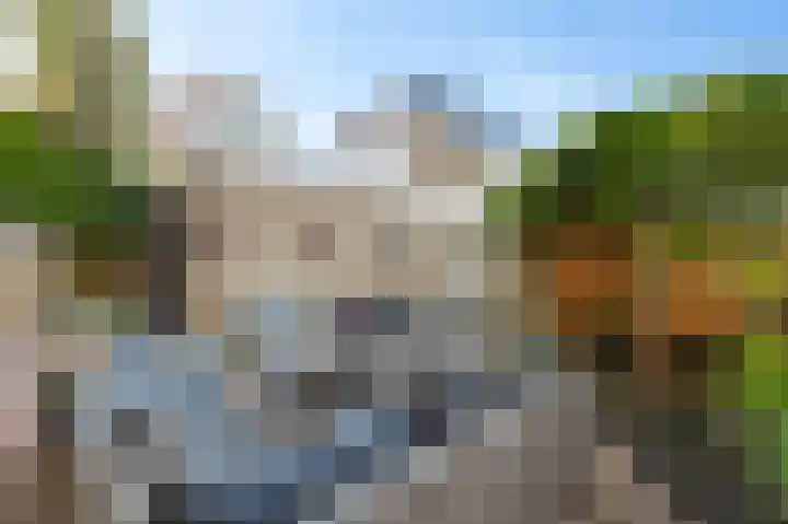 Tulpentuin 72 Voorburg thumbnail 36