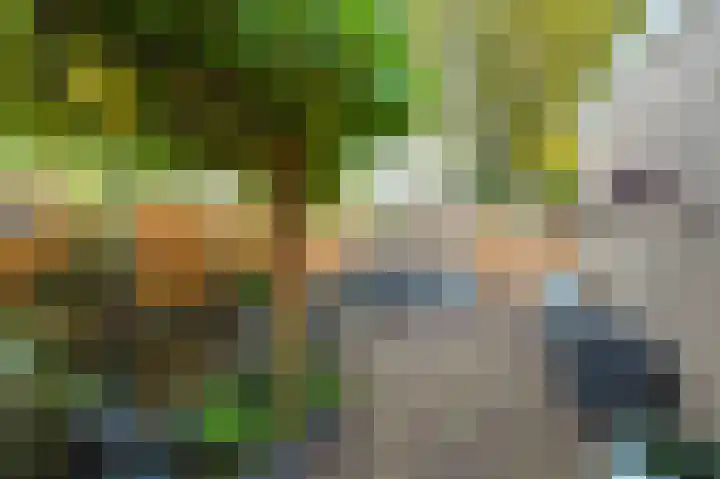 Tulpentuin 72 Voorburg thumbnail 37