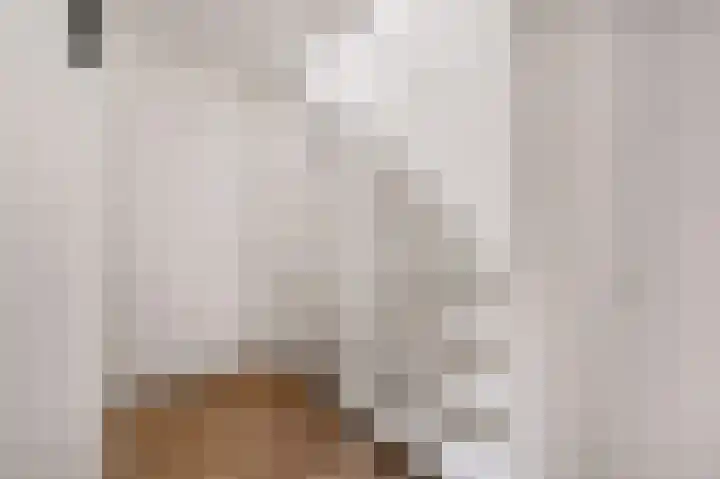 Tulpentuin 72 Voorburg thumbnail 38
