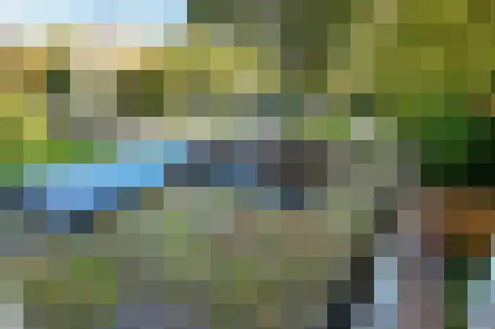Tulpentuin 72 Voorburg thumbnail 43
