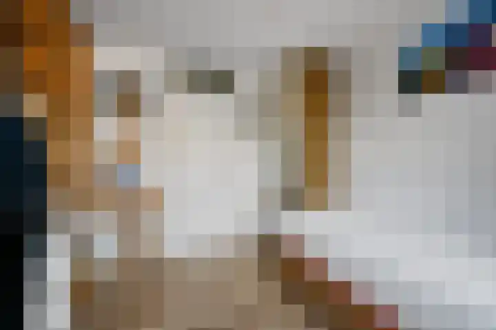 Tulpentuin 72 Voorburg thumbnail 48
