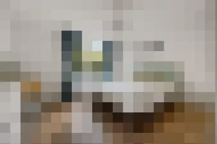 Tulpentuin 72 Voorburg thumbnail 49