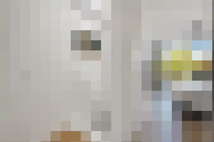 Tulpentuin 72 Voorburg thumbnail 51