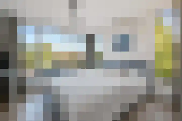 Tulpentuin 72 Voorburg thumbnail 52
