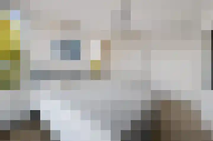Tulpentuin 72 Voorburg thumbnail 53