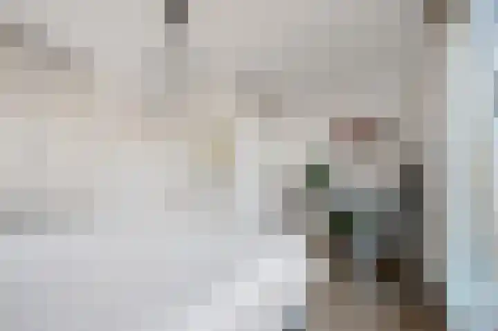 Tulpentuin 72 Voorburg thumbnail 54