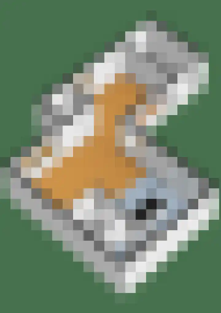Tulpentuin 72 Voorburg thumbnail 59