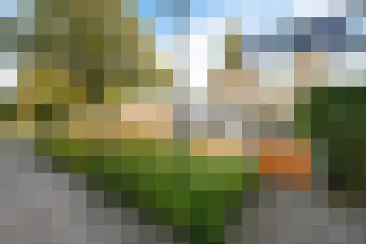 Tulpentuin 72 Voorburg thumbnail 6