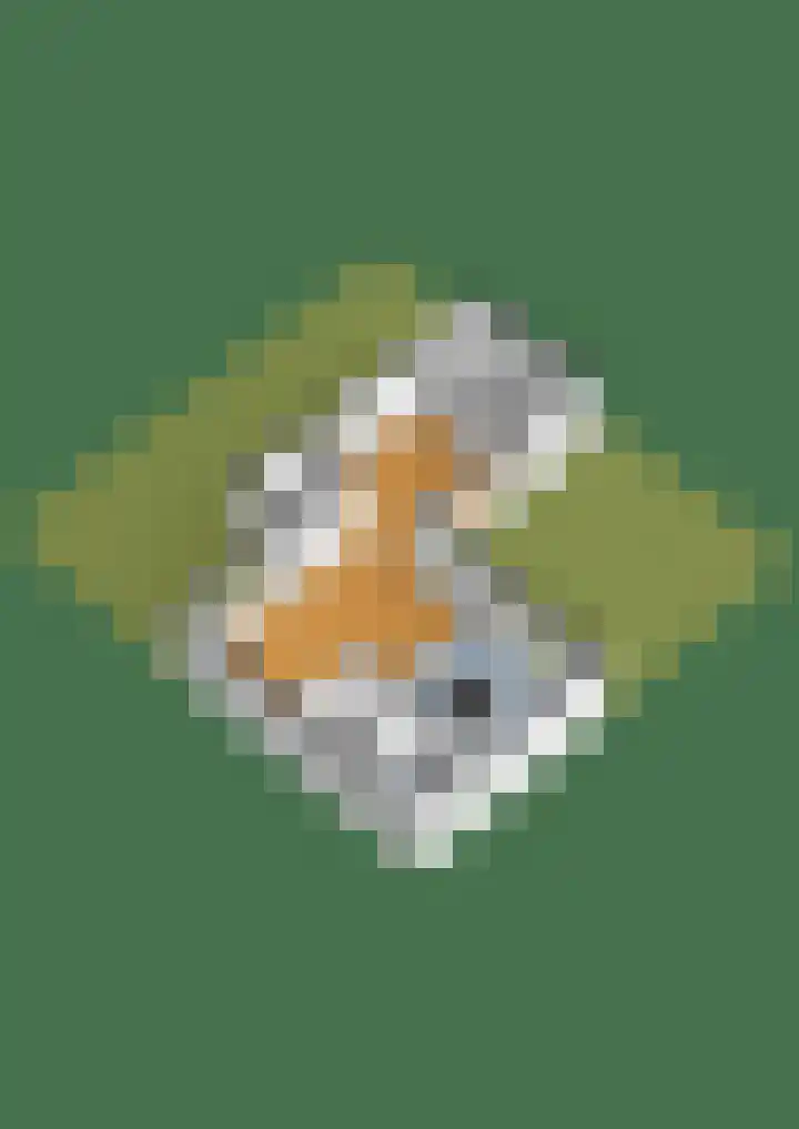 Tulpentuin 72 Voorburg thumbnail 65