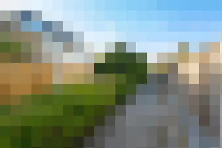 Tulpentuin 72 Voorburg thumbnail 8