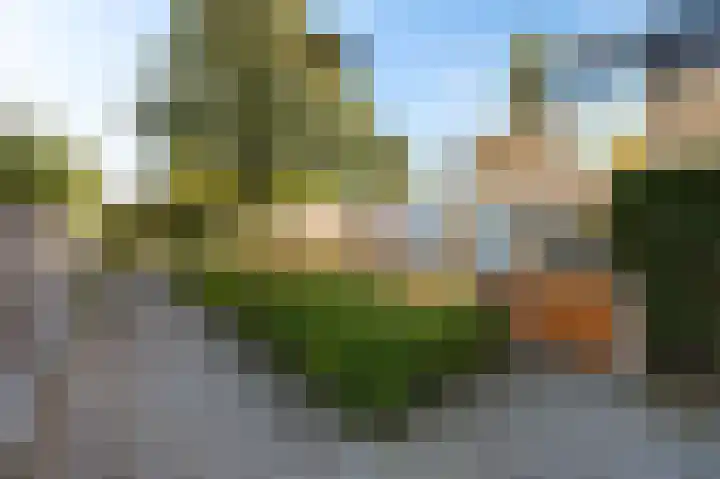 Tulpentuin 72 Voorburg thumbnail 9