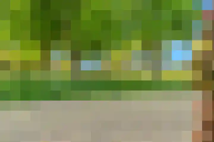 Tulpenveld 200 Castricum thumbnail 66